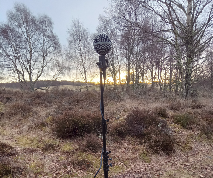 360 ambisonic sound