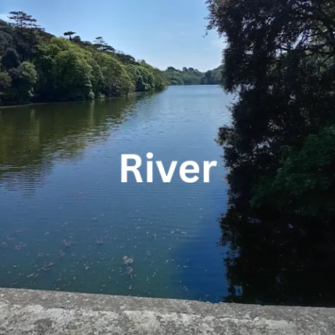 river sounds hear habitat