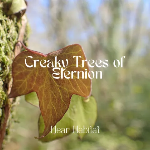 Creaky Trees of Elernion