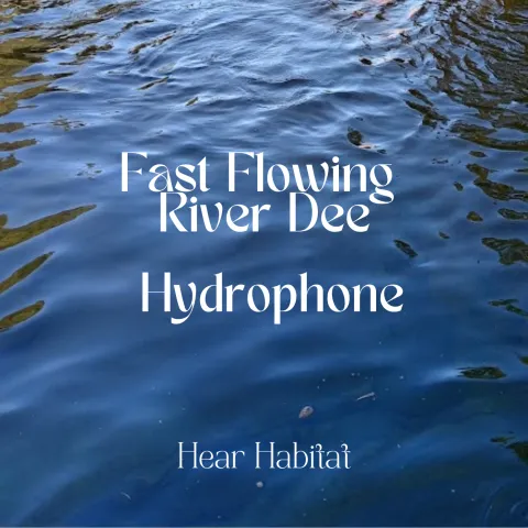 Fast Flowing River Dee