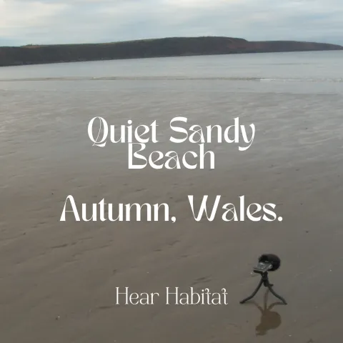 Quiet Low Tide Sand Beach Autumn