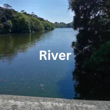 river sounds hear habitat